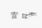Lumi Stud Earrings