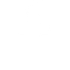 Social media icon 1