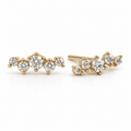 Zaniah Stud Earrings
